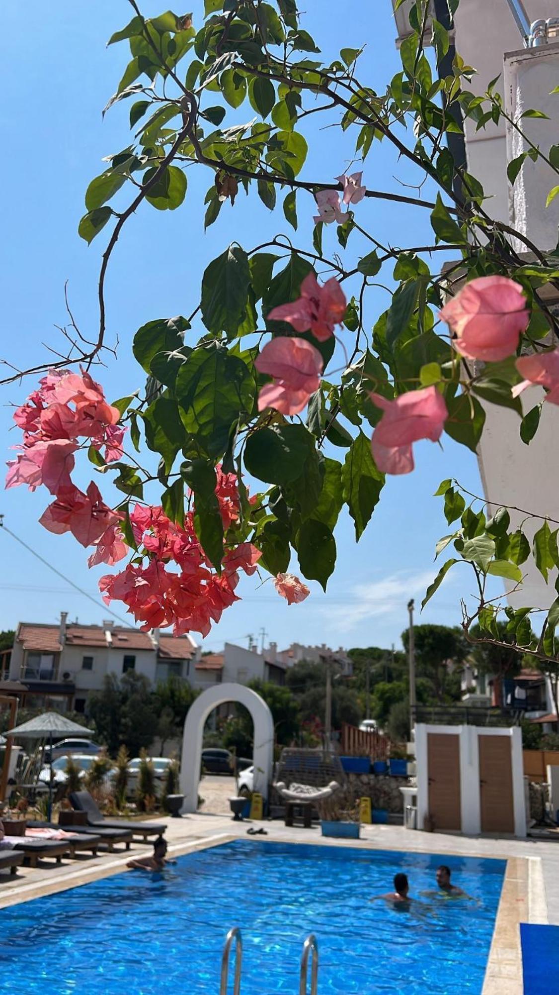 Çeşme Belong Butik Otel المظهر الخارجي الصورة